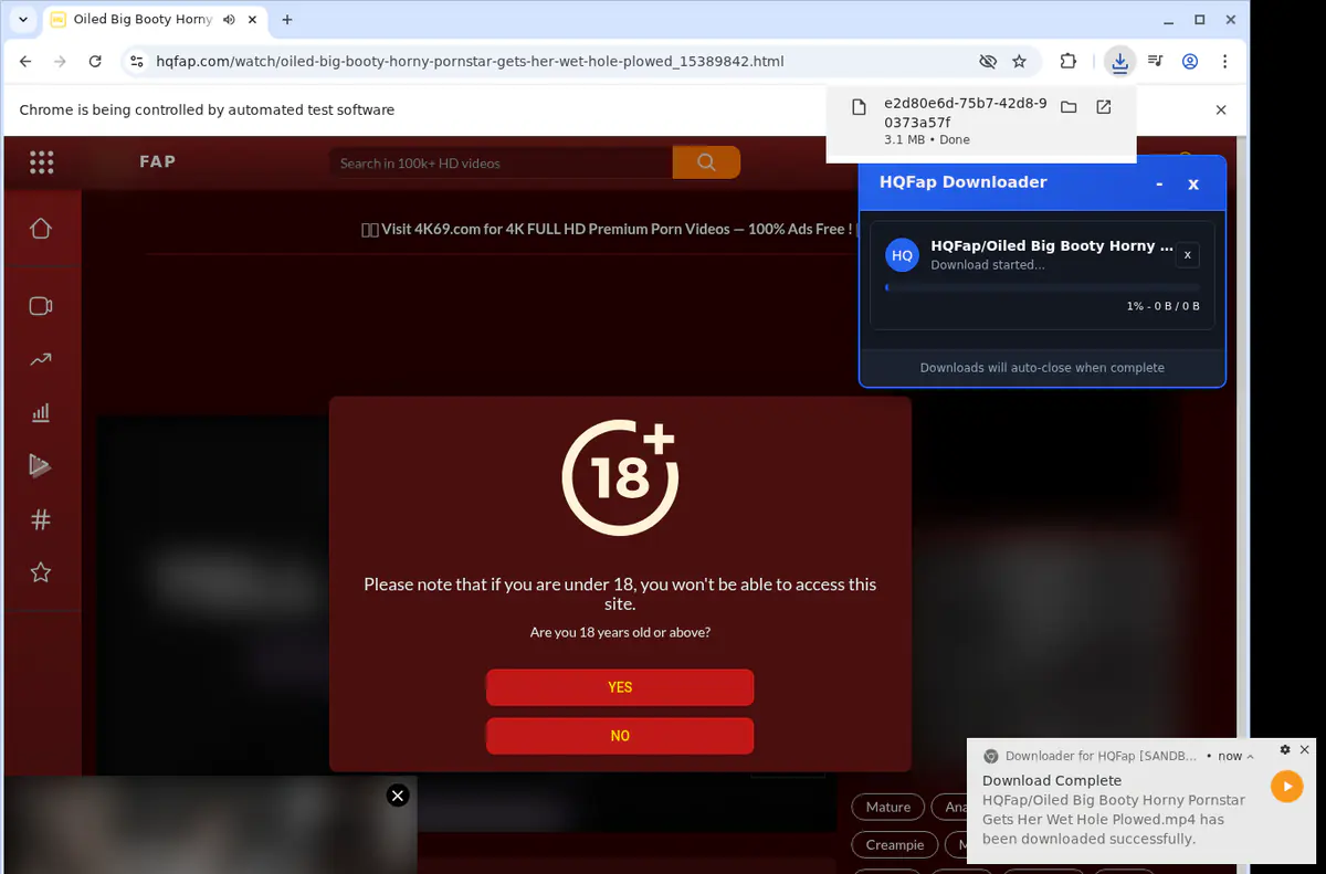 Hqfap Video Downloader browser extension screenshot 2