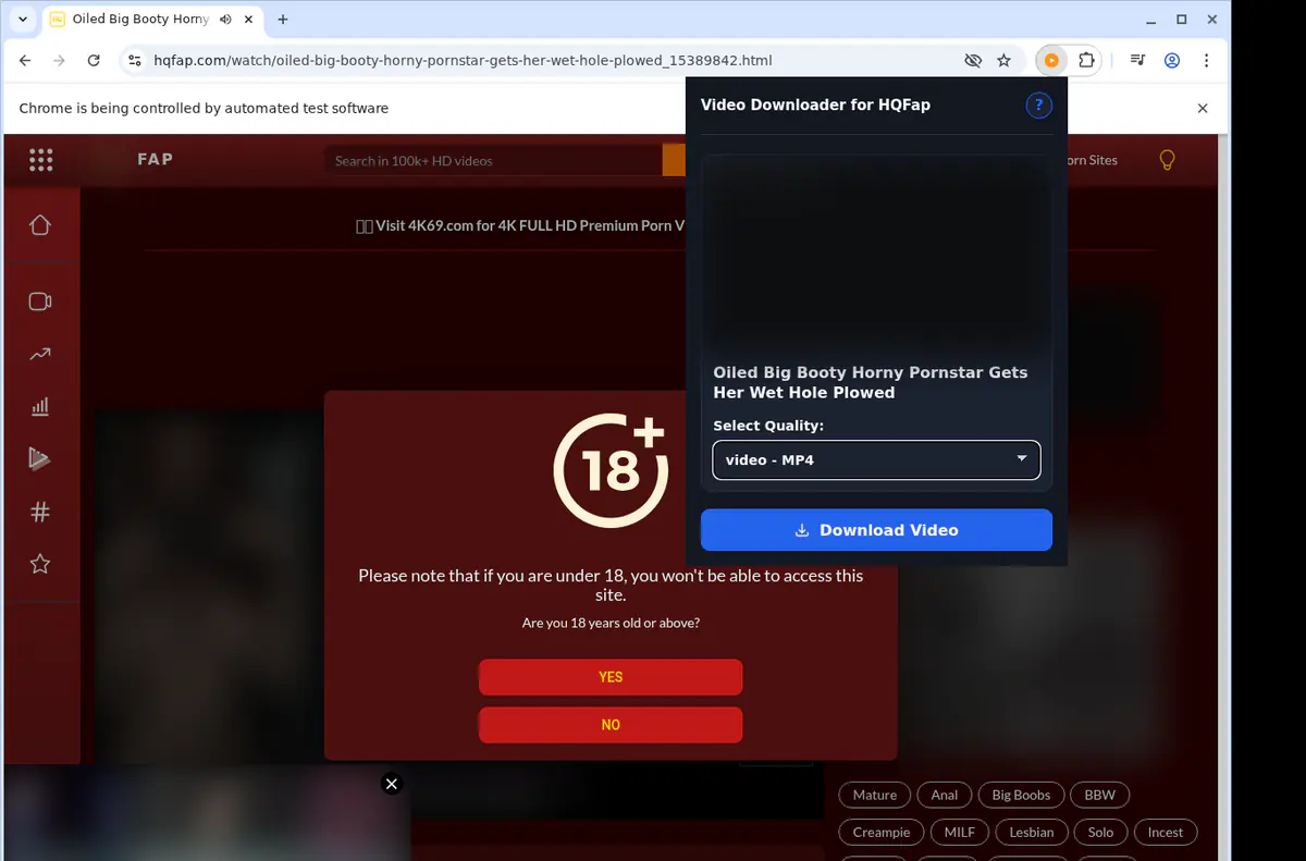 Hqfap Video Downloader browser extension screenshot 3